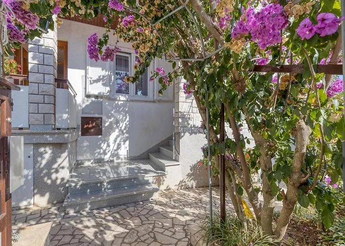 Azra 게스트하우스 풀라